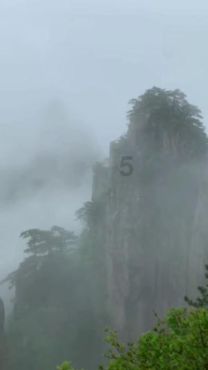 滚动的奶酪