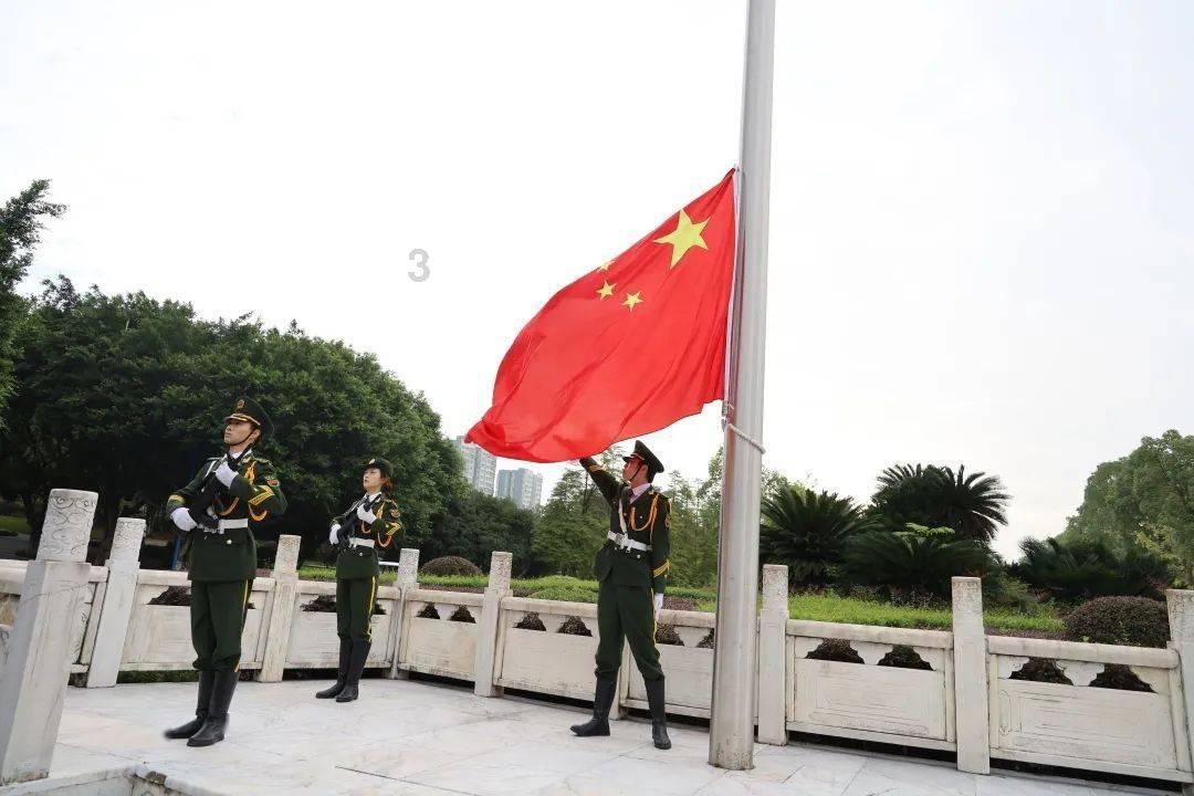 破碎的动物图形2